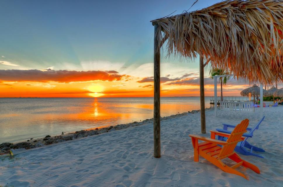 441-Waterfront, Amazing Views, Wifi, Pool And Close To Bucs Stadium Tampa Luaran gambar